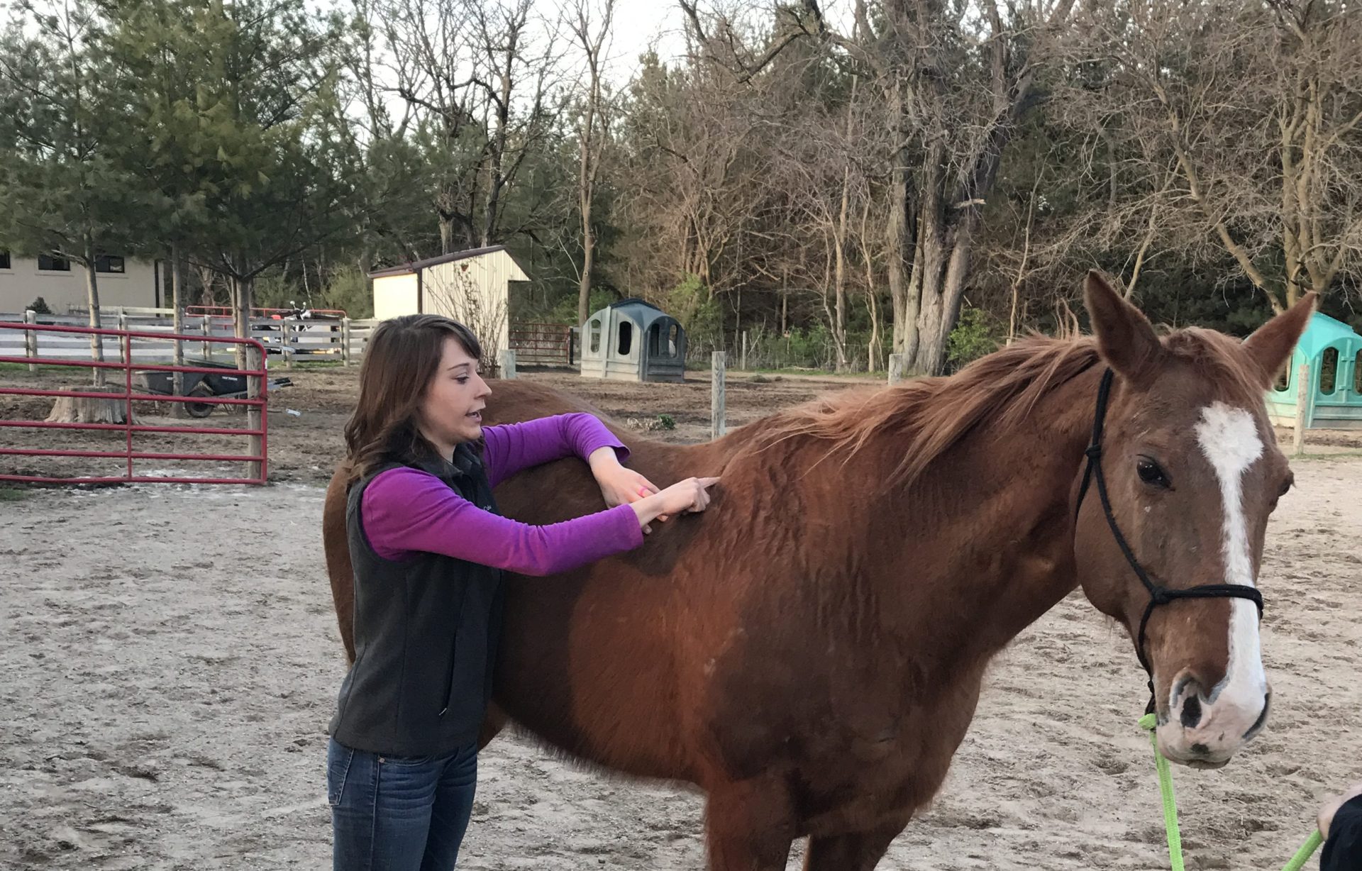 Saddle Fit Essential Equine Therapies, LLC